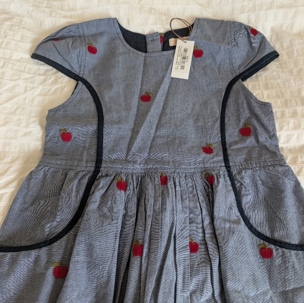 Pink Chicken Gray Red Flutter Sleeve A-Line Dress